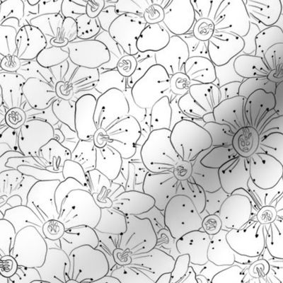 Floral wall line drawing Black and white