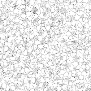 Floral wall line drawing Black and white