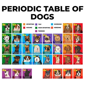 Dogs Periodic Table 1 Yd (42" wide) on White