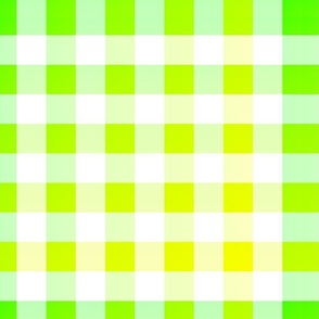 Large Bright Yellow and Green Ombré  Shade Gingham Check Plaid