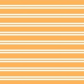 Orange and white  ticking stripes