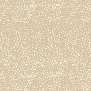 Texture- Sand