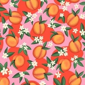 Apricots Small