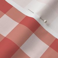 Red Gingham-Large
