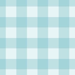 Blue Gingham-Medium