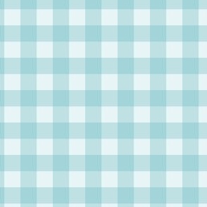 Blue Gingham - Small