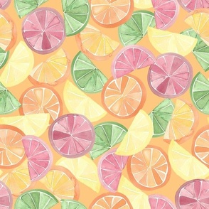Citrus in watercolor, extra large  lemon, lime, grapefruit, blood orange, orange, kitchen, food, fruit