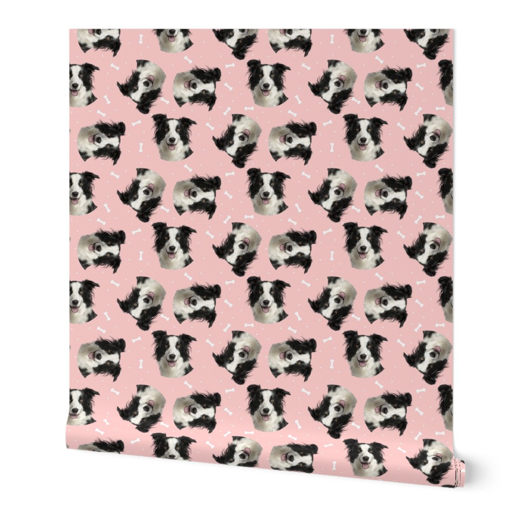 Dog Bones Border Collie - Design Pink