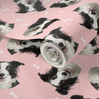 Dog Bones Border Collie - Design Pink