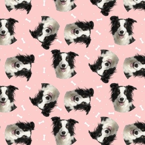 Dog Bones Border Collie - Design Pink