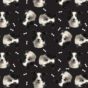 Dog Bones Border Collie - Design  Black