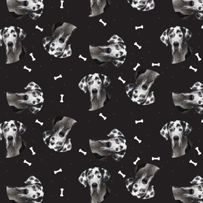 Dog Bones Dalmatian  - Design  Black