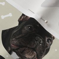Dog Bones French Bulldog Frenchie - Design  Beige