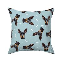 Dog Bones Pinscher - Design Blue