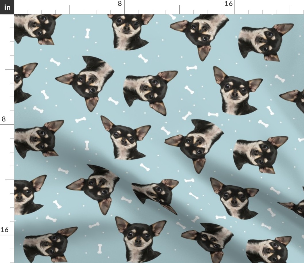 Dog Bones Chihuahua - Design  Blue