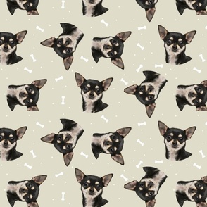 Dog Bones Chihuahua - Design  Beige