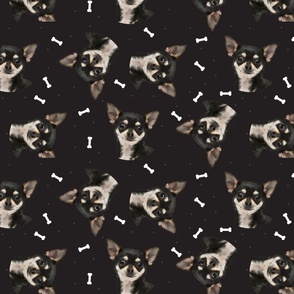 Dog Bones Chihuahua - Design  Black