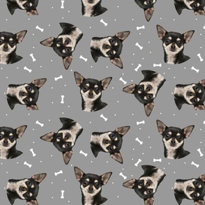 Dog Bones Chihuahua - Design  Grey