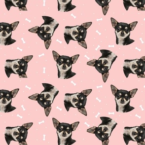 Dog Bones Chihuahua - Design Pink