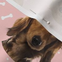 Dog Bones Dachshund Long Haired - Design Pink