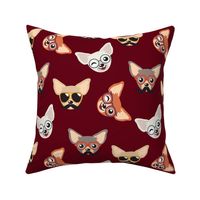 Chihuahua in Glasses - Funny dog design Red