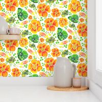 Nasturtium Bright Floral 