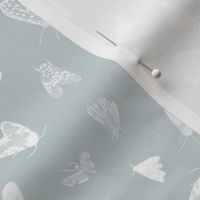 Small White Moths on Light Blue