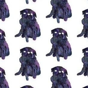 Galaxy Pugs Collection - White