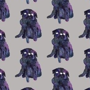 Galaxy Pugs Collection - Gray