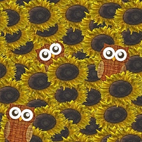 Do you See me?  Woodland Owls Sunflowers