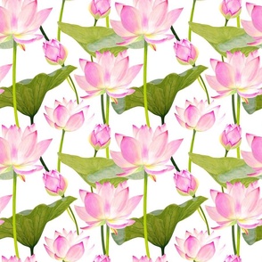  Lotus flowers  marker hand drawn 