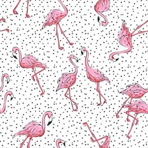 Flamingo party