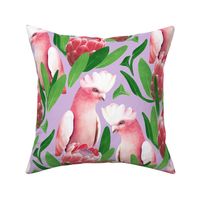 Pink Cockatoo and Protea Damask - lilac purple 