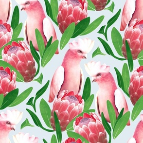 Pink Cockatoo and Protea Damask - pale grey 