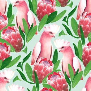 Pink Cockatoo and Protea Damask - pastel green