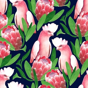 Pink Cockatoo and Protea Damask - navy blue