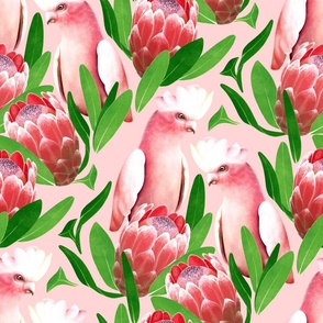 Pink Cockatoo and Protea Damask - pale coral pink
