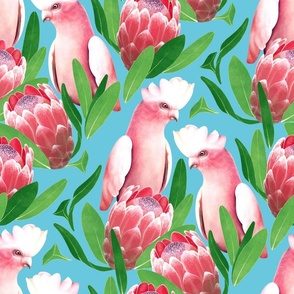 Pink Cockatoo and Protea Damask - sky blue