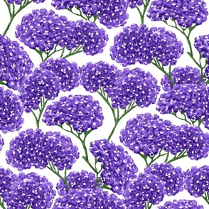 Bouquet of Purple Statice Flowers 