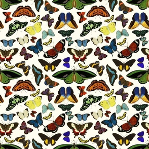 Colorful Butterflies