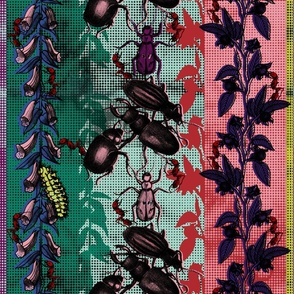Beetles and ants