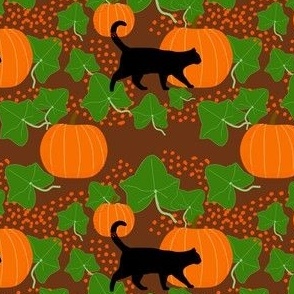 Pumpkin Cat ivy Large Scale