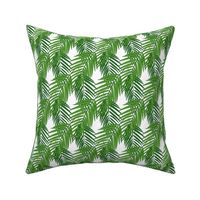  Tropical  palm leaves 