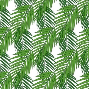  Tropical  palm leaves 