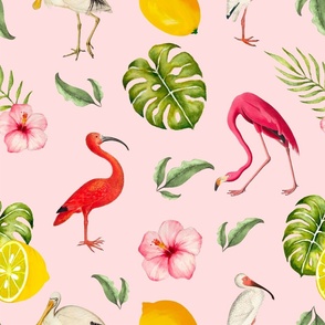 Tropical,exotic,summer,birds,flowers,flamingo