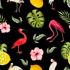 Tropical,exotic,summer,birds,flowers,flamingo