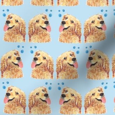 Golden Retriever Party - Blue Background