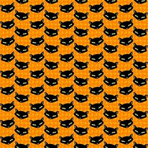 Black Cats on Orange Stars