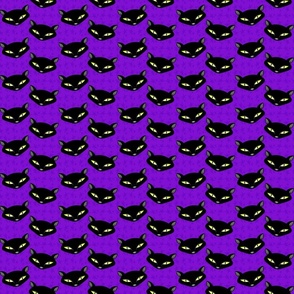 Black Cats on Purple Stars