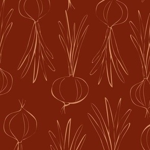 Onions - Terracotta on Chilli
